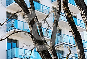 Residential building balconies with trees in foreground