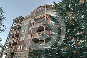 Residential building exterior with snowy conifer tree in the foreground