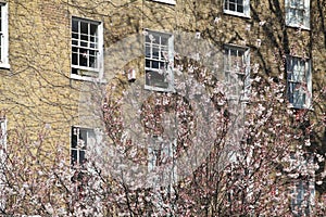 Residential building facade with windows in London