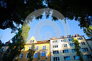 Residential buildings, apartment buildings and condominiums in Sendling, poplars in front of the houses, Lindwurmstr