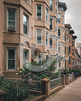 Residential buildings in Greenpoint, Brooklyn, New York City photo