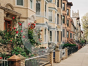 Residential buildings in Greenpoint, Brooklyn, New York City photo