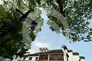 Residential buildings in the south of the Yangtze River of Suzhou in China