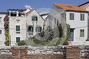 Residential buildings in Split city centre, with climbing plants on the walls