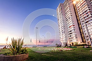 Residential Buildings at Vina Del Mar Downtown at night - Vina del Mar, Chile