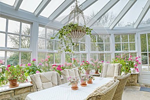 Residential conservatory with numerous houseplants and other decorative flowers