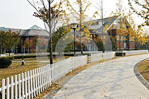 Residential district in fall