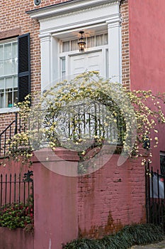 Residential Entry Home Spring Rainbow Row Charleston SC