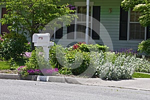 Residential Flower Garden