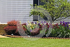 Residential Flower Garden