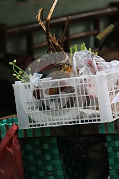 Residential greengrocer.