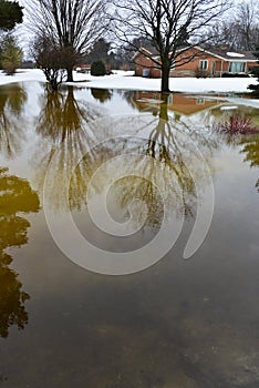 House, Home Flooding From Winter Snow Melt photo