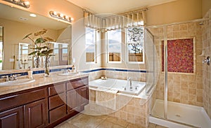 Residential Home Master Bathroom