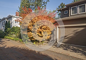 Residential homes and nature Portland Oregon