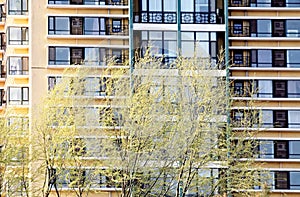 Residential homes in spring