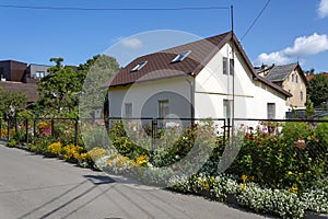 Residential house with a beautiful flower garden in the resort town of Zelenogradsk