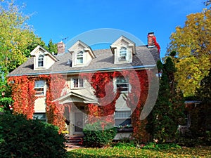 Residential house in Minneapolis