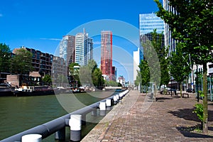 Residential houses. The centre of Rotterdam