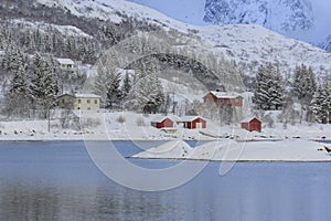Residential houses and red Rorbu Fishing Huts