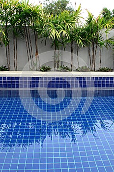 Residential inground swimming pool