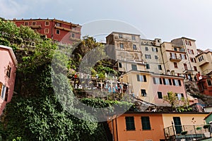 Residential Italian houses on a sunny hill in Italy, Manarola. Many different houses