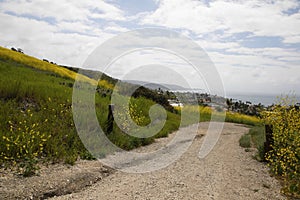 Residential neighborhood at end of hiking trail overlooking Pacific Ocean