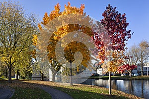 Residential neighborhood with trees in autumn