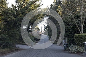 Residential road near Lake Washington in Seattle