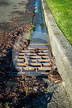 Residential storm drain on a sunny day, wet tree debris around drain, street and curb