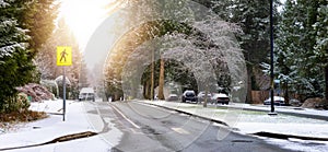 Residential Street View in a peaceful neighborhood.