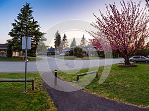 Residential Suburban Neighborhood in the City during a vibrant springtime sunset.