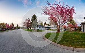 Residential Suburban Neighborhood in the City during a vibrant springtime sunset.