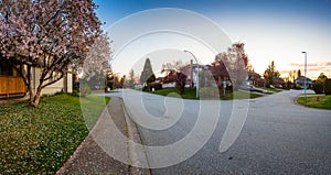Residential Suburban Neighborhood in the City during a vibrant springtime sunset.