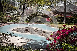 Residential swimming pool in spring before its been opened with tarp and dead leaves in yard with blooming azeleas and landscaping