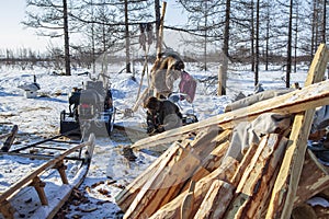 Residents of the far north,  the pasture of Nenets people, the dwelling of the peoples of the north of Yamal, wooden blanks for