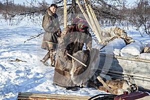 Residents of the far north,  the pasture of Nenets people, the dwelling of the peoples of the north of Yamal, wooden blanks for