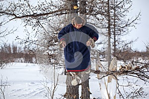 Residents of the far north,  the pasture of Nenets people, the dwelling of the peoples of the north of Yamal,Young hunter hanging