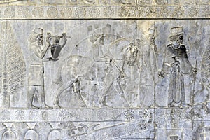 Residents of historical empire with animals Persepolis Iran