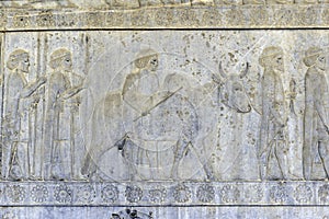 Residents of historical empire with animals. Stone bas-relief in ancient city Persepolis, Iran