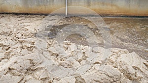 Residual methane and air bibles leave digestible biomass in a sedimentation tank. Thick brown foam.