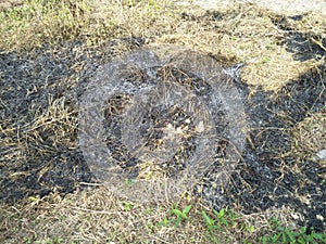 residue from burning grass leaves and dry wood in the yard of the fields which is useful to increase soil fertility