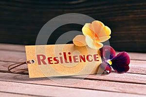 Resilience tag photo