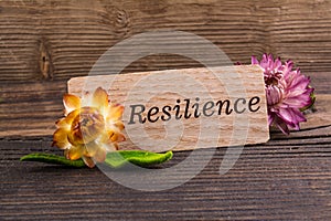 Resilience word photo