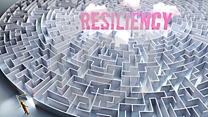 Resiliency and a difficult path to it