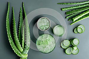 Resilient Aloe vera care green. Generate Ai