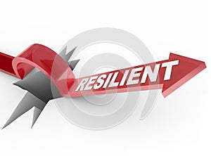 Resilient - Rising to Challenge and Overcoming a Problem