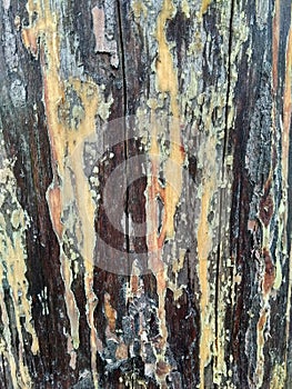 Resin. pillar old wood texture