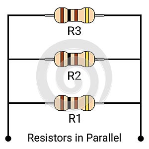 Resistors in Parallel