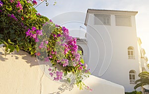 Resort building with traditional andalusian architecture of whit photo