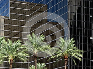 Resort Architecture, Las Vegas, Nevada photo